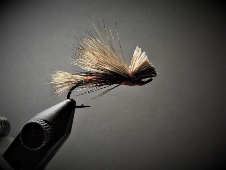 A Date with Steelhead on the Dry-fly – BC Federation of Fly-fishers