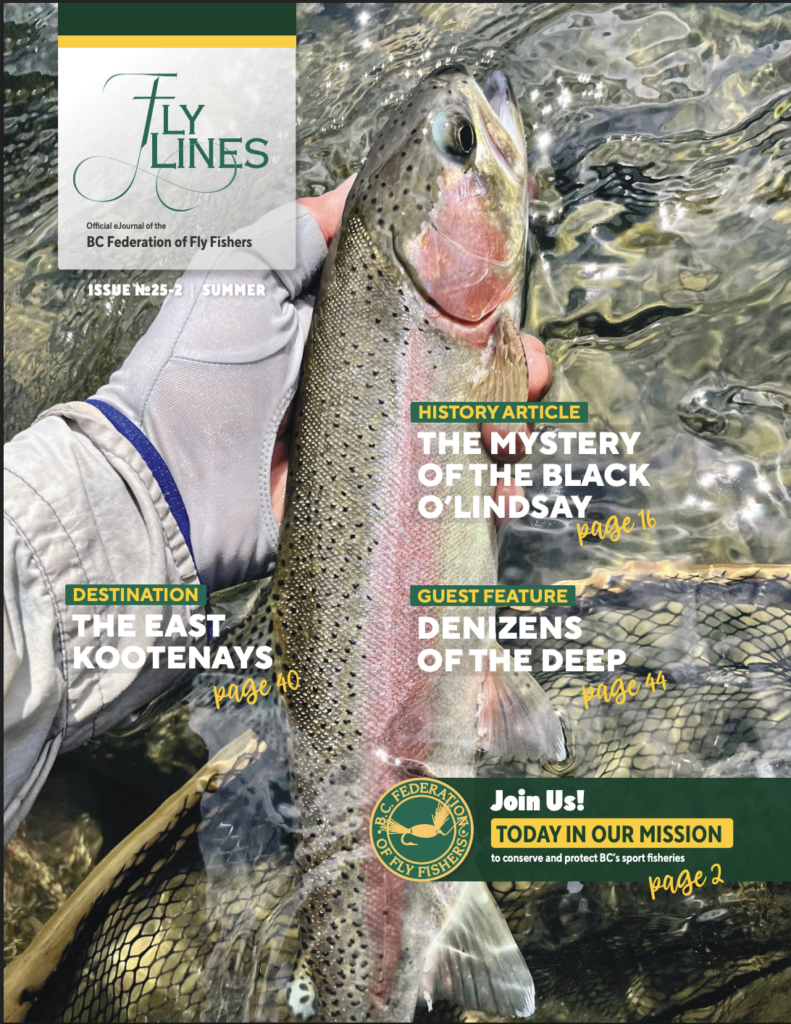 Cover of Summer 2025 Issue