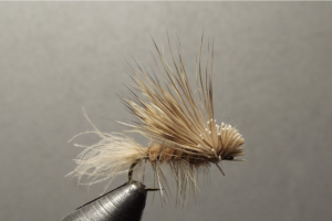 CDC Caddis Tan