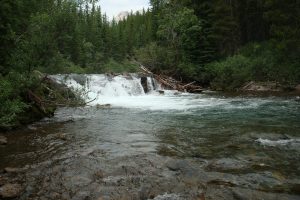 Cardona Creek 1