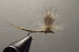Parachute May Fly Tan