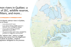 Salmon Rivers in Quebec
