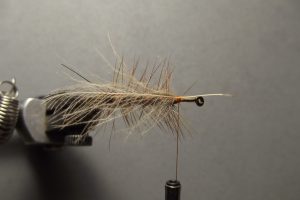 Step 7