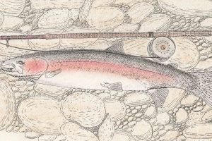 Thompson River fish print